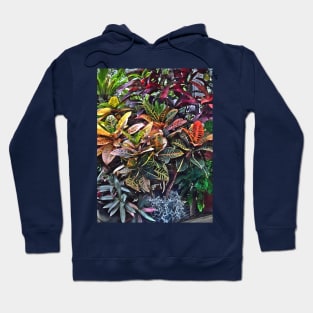 Croton in Greenhouse Hoodie